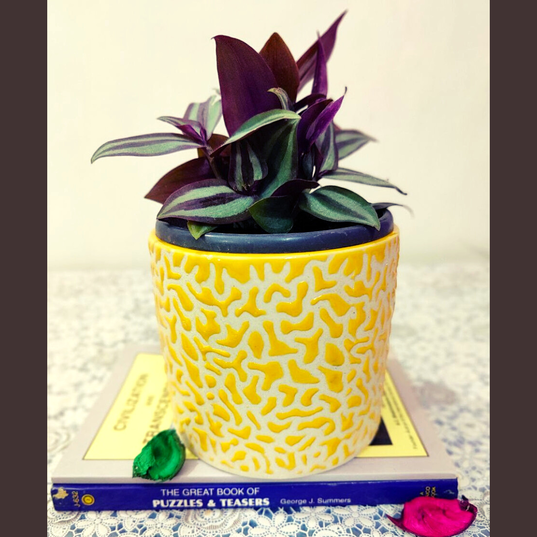 Homefrills ceramic small drop texture stylish yellow colour planters pot for Indoor & Outdoor Home, Garden, Office Decor, Balcony Planters Pot Gamla Pot Size: 11 cm wide & 11 cm high